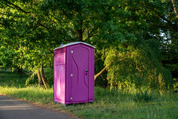 Portable Toilet Options We Offer in Crystal City, MO